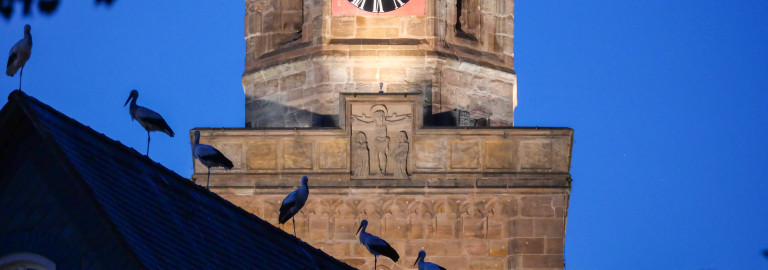 St Michael mit Störchen